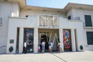 Théo Cheval 2018 – Vernissage Liu Bolin – DIDAM 005