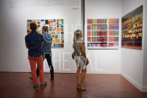 Théo Cheval 2018 – Vernissage Liu Bolin – DIDAM 006