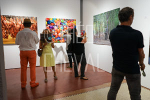 Théo Cheval 2018 – Vernissage Liu Bolin – DIDAM 019