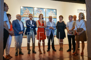 Théo Cheval 2018 – Vernissage Liu Bolin – DIDAM 032