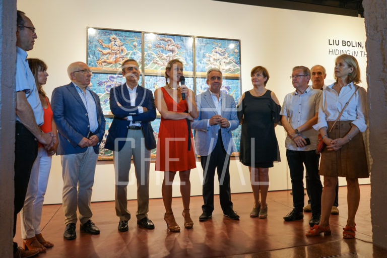 Lire la suite à propos de l’article Vernissage : Expo Liu Bollin au DIDAM