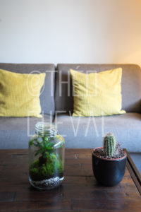 Appartement Carlito 19