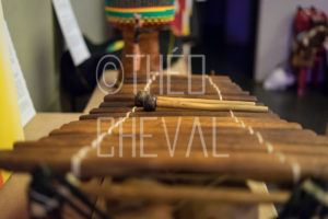 On Hem le Cameroun 38