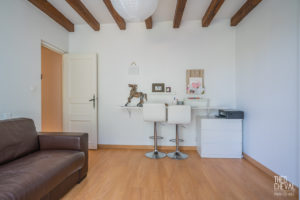 theo cheval 2019 – century 21 – maison arcangues -15