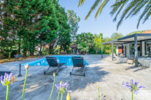 theo cheval 2019 – century 21 – maison arcangues – 41