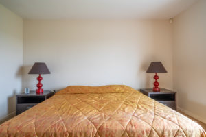 theo cheval 2019 – century 21- maison bassussary – 05