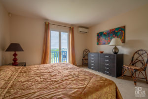 theo cheval 2019 – century 21- maison bassussary – 07