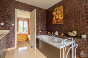 theo cheval 2019 – century 21- maison bassussary – 08