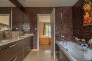 theo cheval 2019 – century 21- maison bassussary – 09