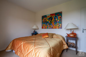 theo cheval 2019 – century 21- maison bassussary – 12