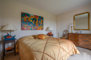 theo cheval 2019 – century 21- maison bassussary – 14