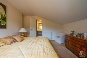 theo cheval 2019 – century 21- maison bassussary – 18