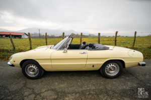 theo cheval 2019 – cforcar voitures de collection pays basque -08