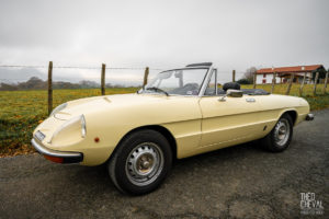 theo cheval 2019 – cforcar voitures de collection pays basque -09