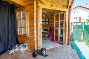 theo cheval 2019 – dolce canine bidart – 05