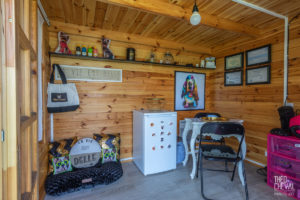 theo cheval 2019 – dolce canine bidart – 06