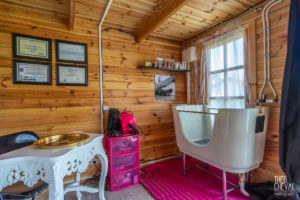 theo cheval 2019 – dolce canine bidart – 07