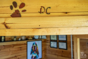 theo cheval 2019 – dolce canine bidart – 08