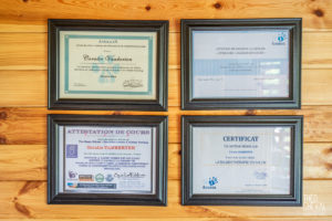 theo cheval 2019 – dolce canine bidart – 09