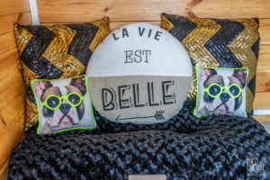 theo cheval 2019 – dolce canine bidart – 10