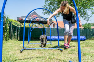 theo cheval 2019 – dolce canine bidart – 105