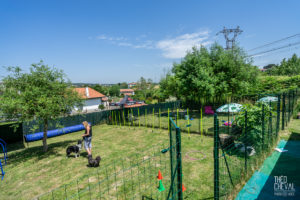 theo cheval 2019 – dolce canine bidart – 106