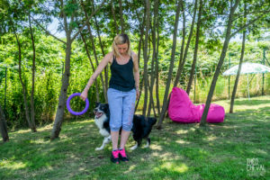 theo cheval 2019 – dolce canine bidart – 28