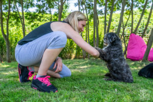 theo cheval 2019 – dolce canine bidart – 33