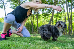 theo cheval 2019 – dolce canine bidart – 35