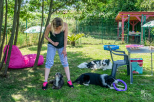 theo cheval 2019 – dolce canine bidart – 38