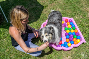 theo cheval 2019 – dolce canine bidart – 42