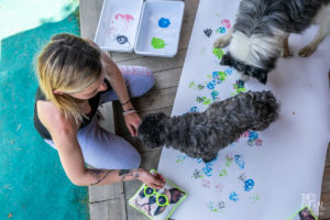 theo cheval 2019 – dolce canine bidart – 80