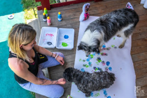 theo cheval 2019 – dolce canine bidart – 81