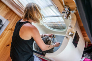 theo cheval 2019 – dolce canine bidart – 85