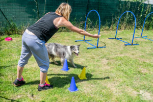 theo cheval 2019 – dolce canine bidart – 98