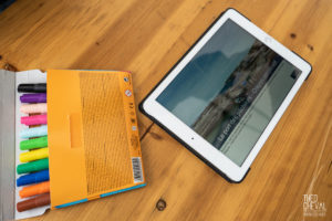 theo cheval 2019 – esprit basque seminaire terideal biarritz – 17