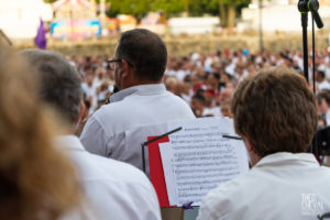 theo cheval 2019 – fetes de bayonne – ceremonie ouverte -14