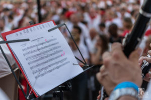 theo cheval 2019 – fetes de bayonne – ceremonie ouverte -18
