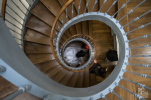 theo cheval 2019 – inauguration immeuble renove bayonne – 17