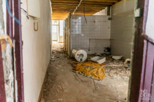 theo cheval 2019 – mairie de bayonne – suivi de chantier ilot 38 – 03