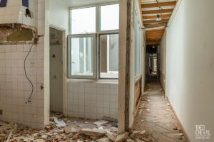 theo cheval 2019 – mairie de bayonne – suivi de chantier ilot 38 – 07