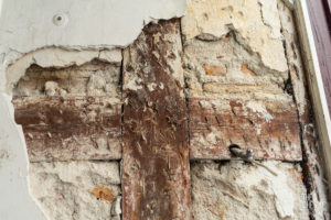 theo cheval 2019 – mairie de bayonne – suivi de chantier ilot 38 – 12