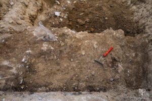 theo cheval 2019 – mairie de bayonne – suivi de chantier ilot 38 – 21