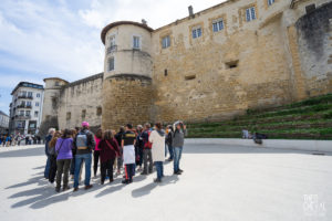 theo cheval 2019 – mairie de bayonne – visites guidees 21