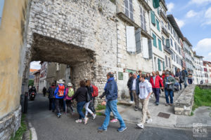 theo cheval 2019 – mairie de bayonne – visites guidees 37