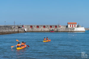 theo cheval 2019 – seminaire revents sokoa -02