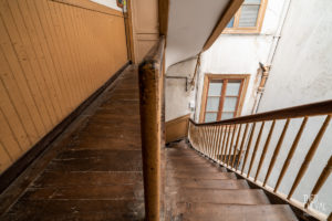 theo cheval 2019 – suivi chantier bayonne rue d’espagne -16