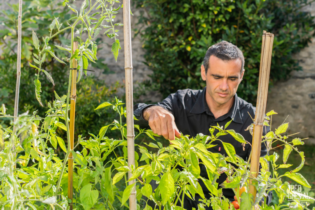 Lire la suite à propos de l’article The Eco Attitude : Potagers en Permaculture