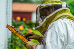 theo cheval 2019 – the eco attitude -08