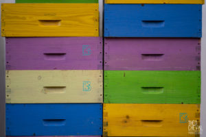 theo cheval 2019 – the eco attitude -11